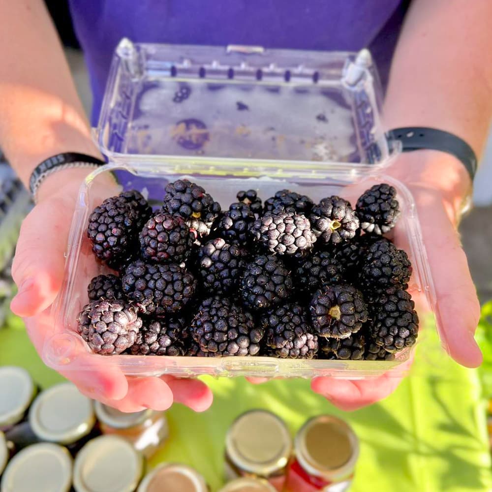 Farmers Market at Pepper Place — 