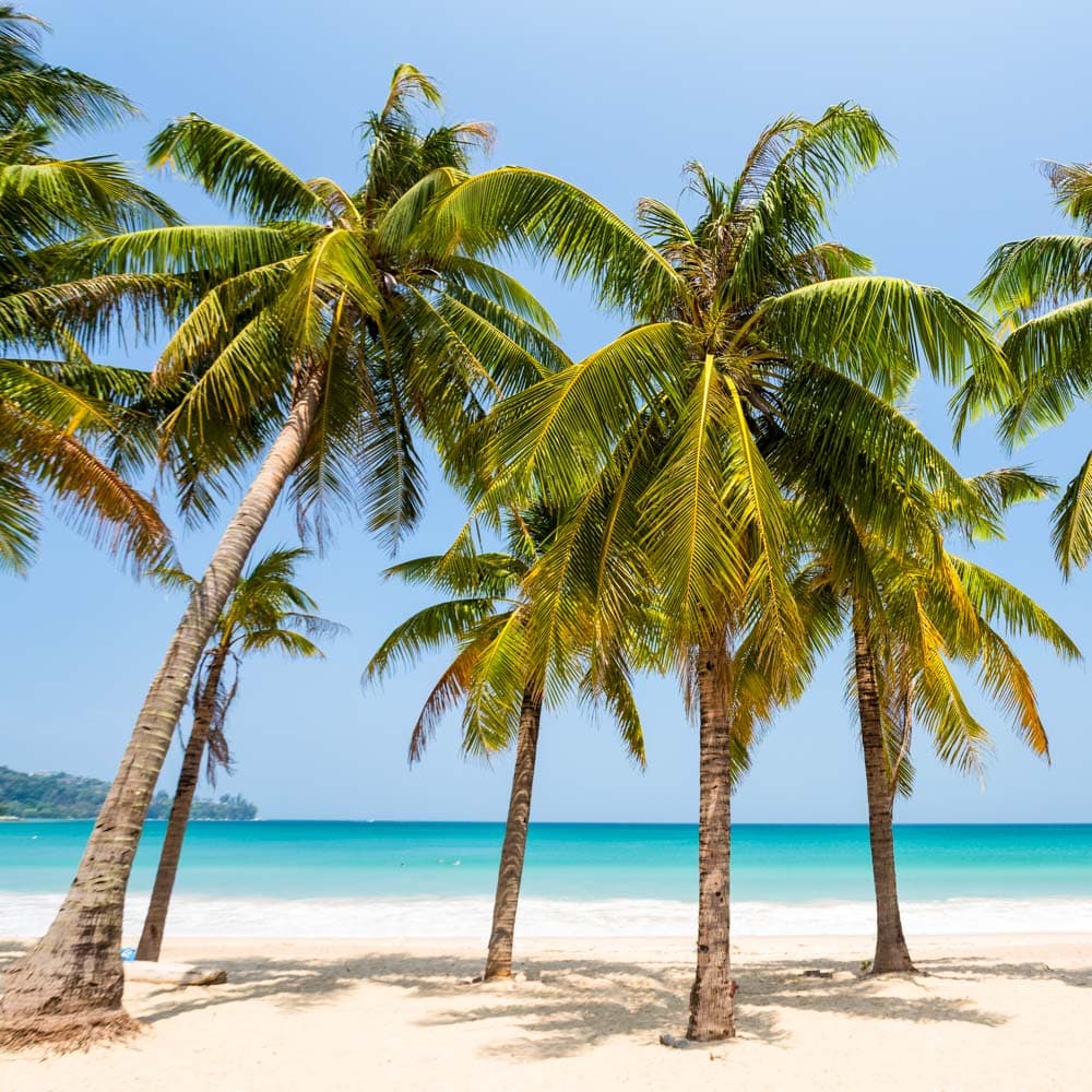 Kamala Beach — 