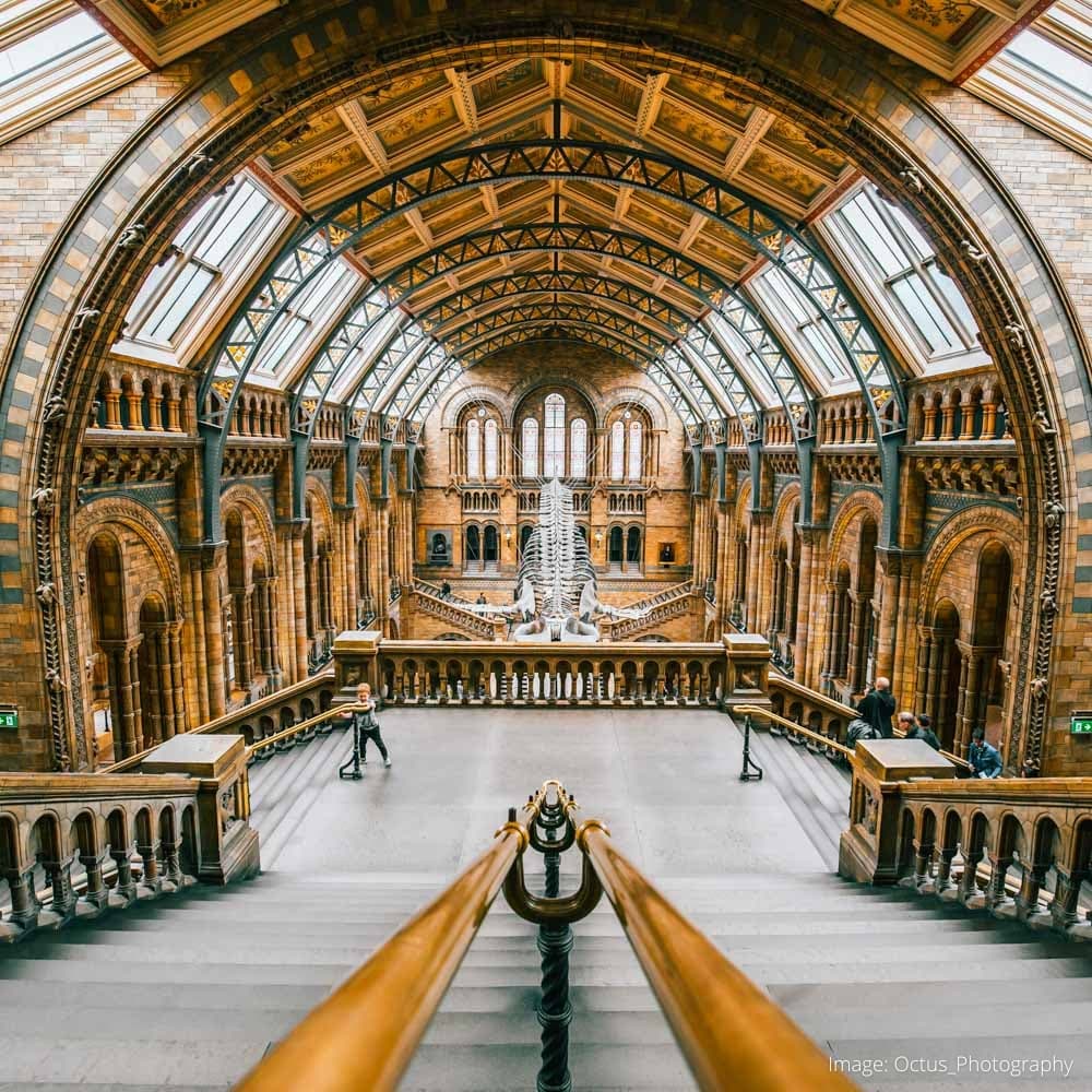 Natural History Museum — 