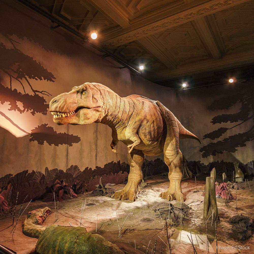 Natural History Museum — 