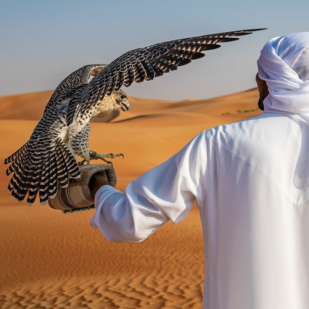 Qasr Al Sarab Desert Resort — 