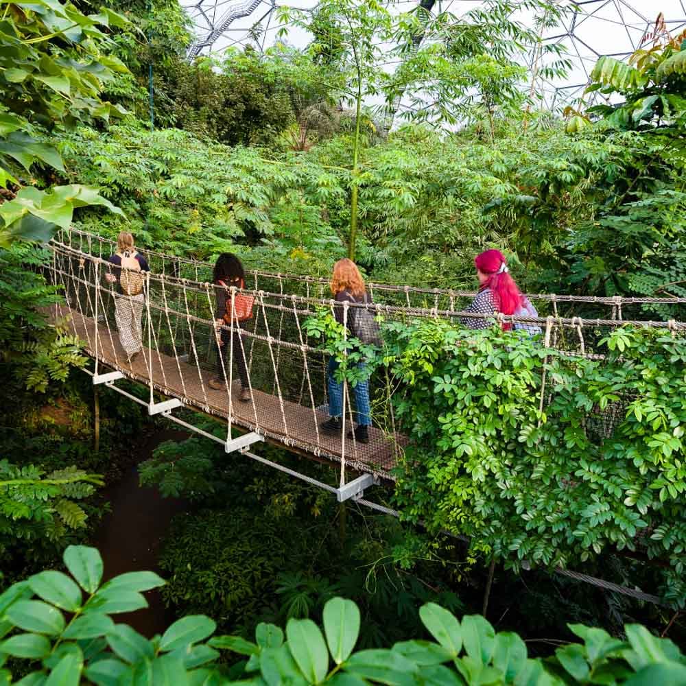 Eden Project — 