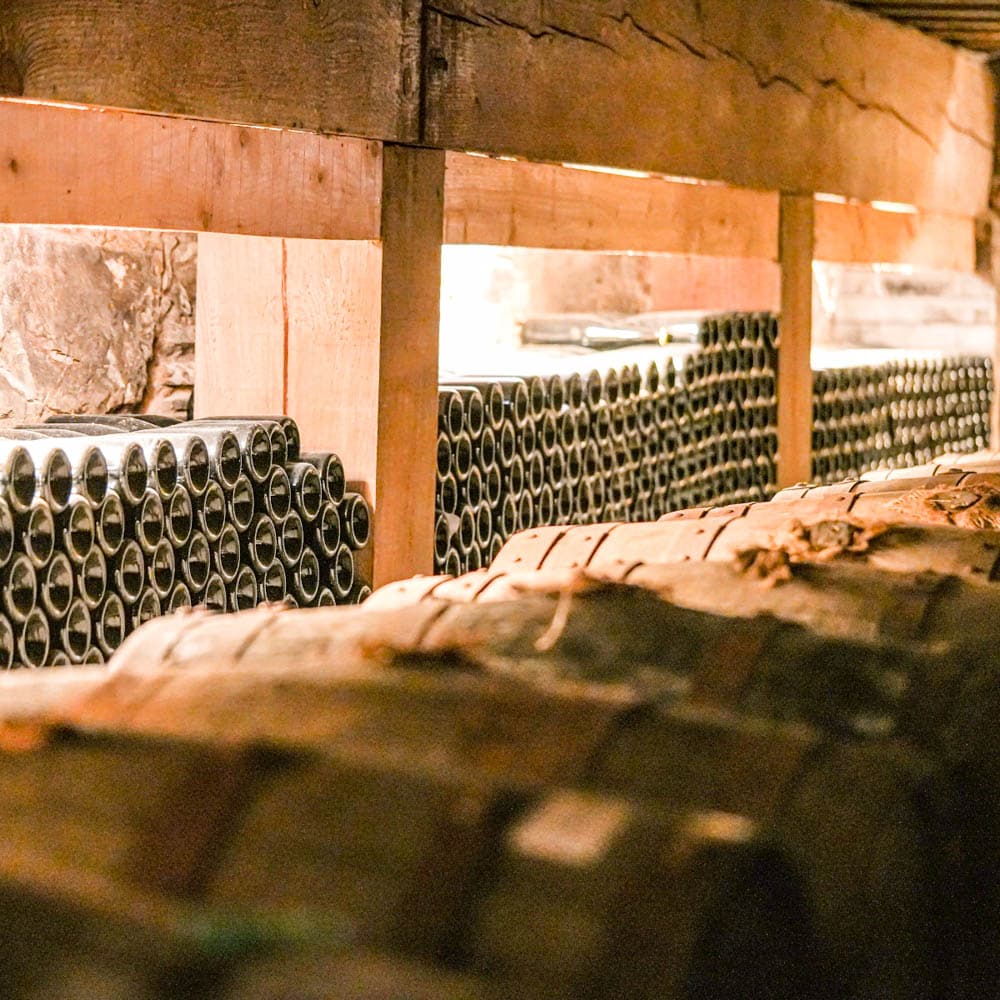 Healeys Cornish Cyder Farm — 