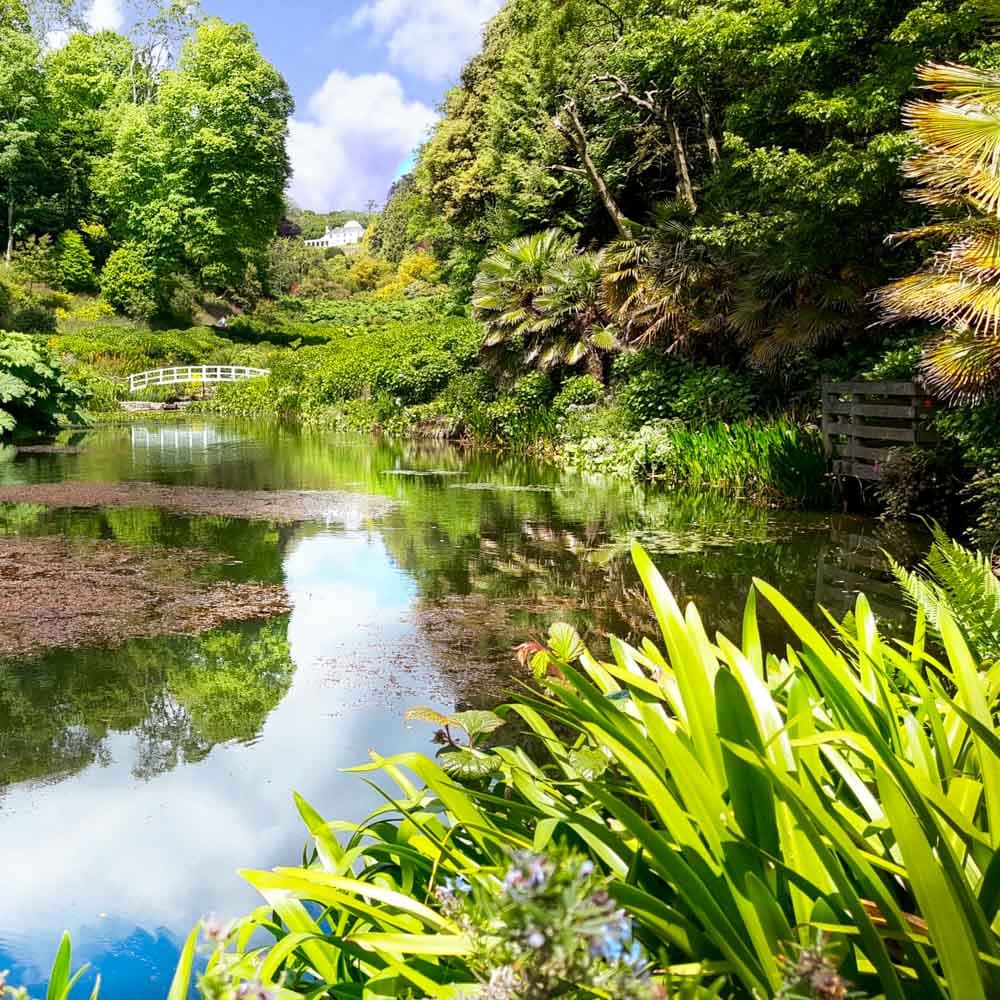 Trebah Garden — Cornwall, England, United Kingdom