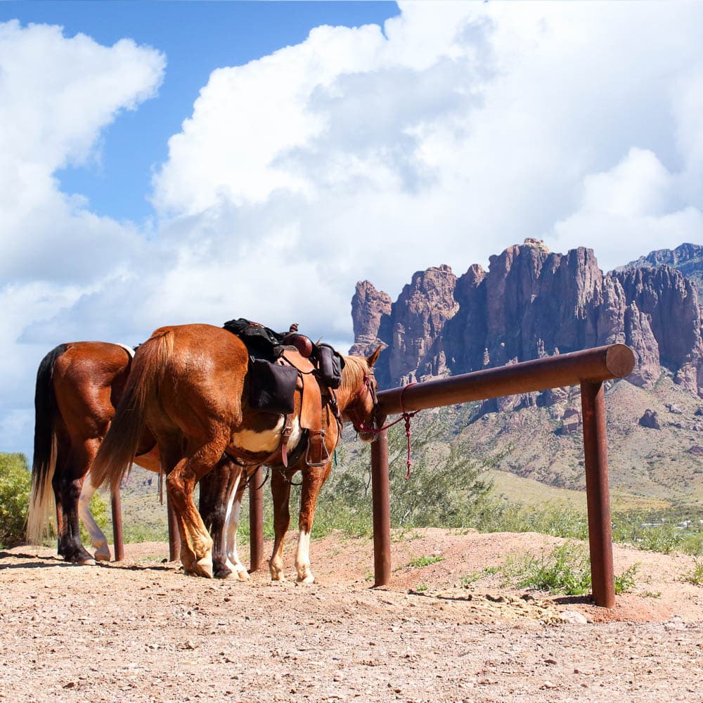 Pioneer Trails — 