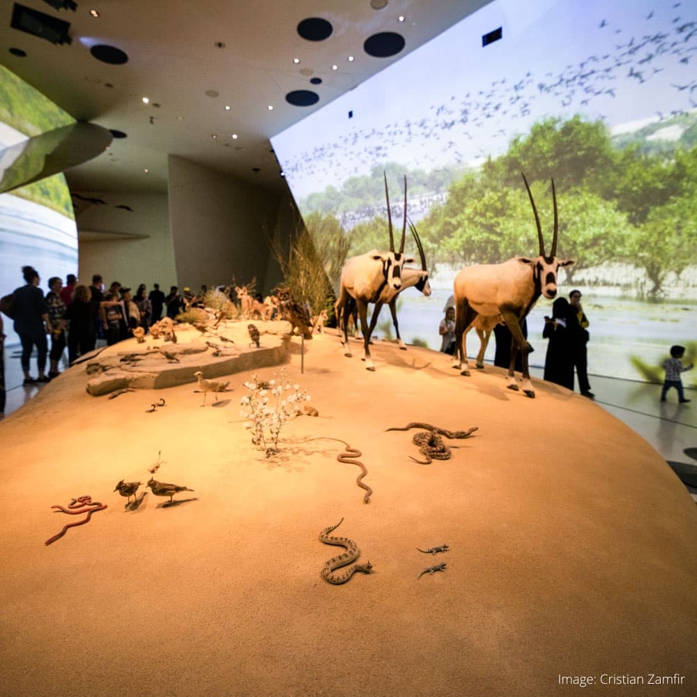National Museum of Qatar — 