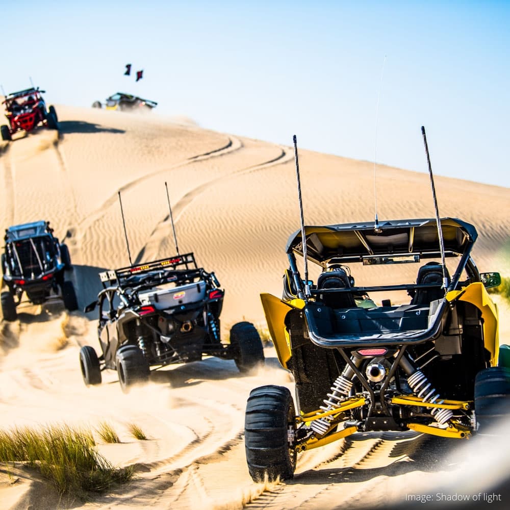 Desert Safaris — Doha, Qatar, Middle East