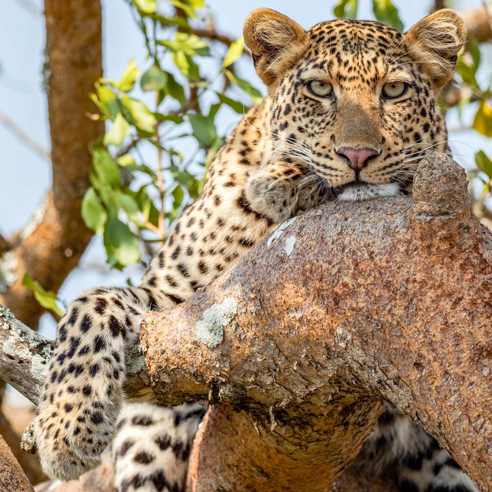 Akagera National Park — Rwanda, Africa