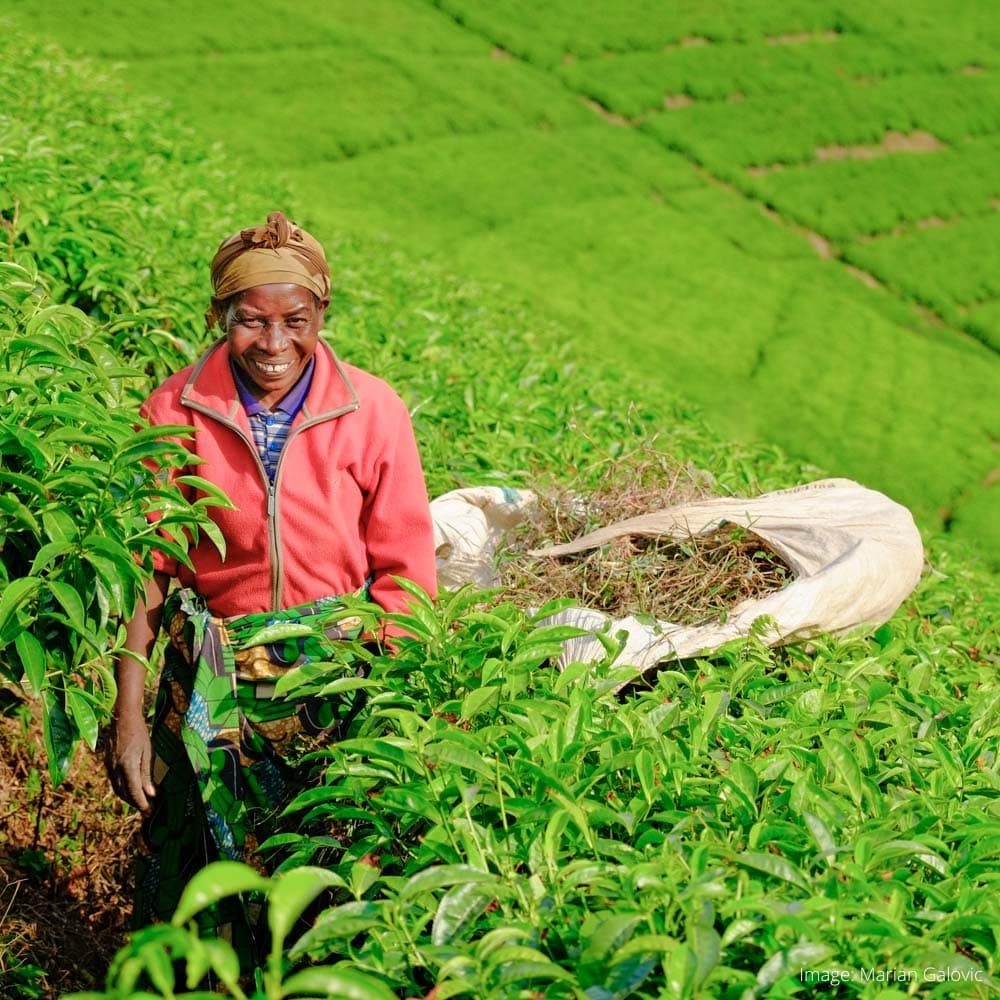 Kibuye — 