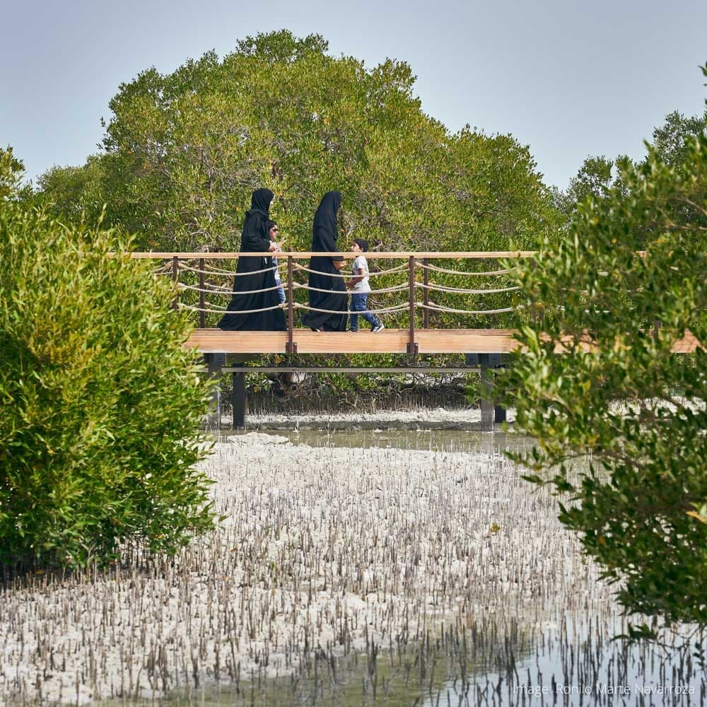 Jubail Mangrove Park — 