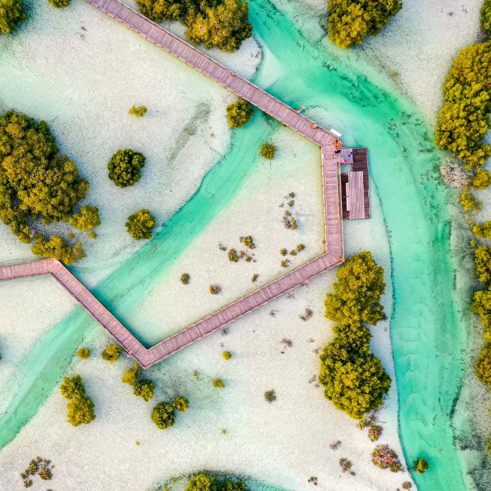 Jubail Mangrove Park — 