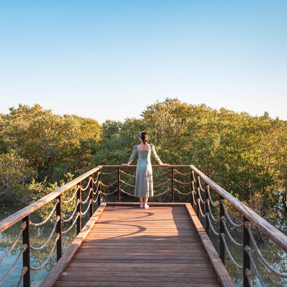 Jubail Mangrove Park — 