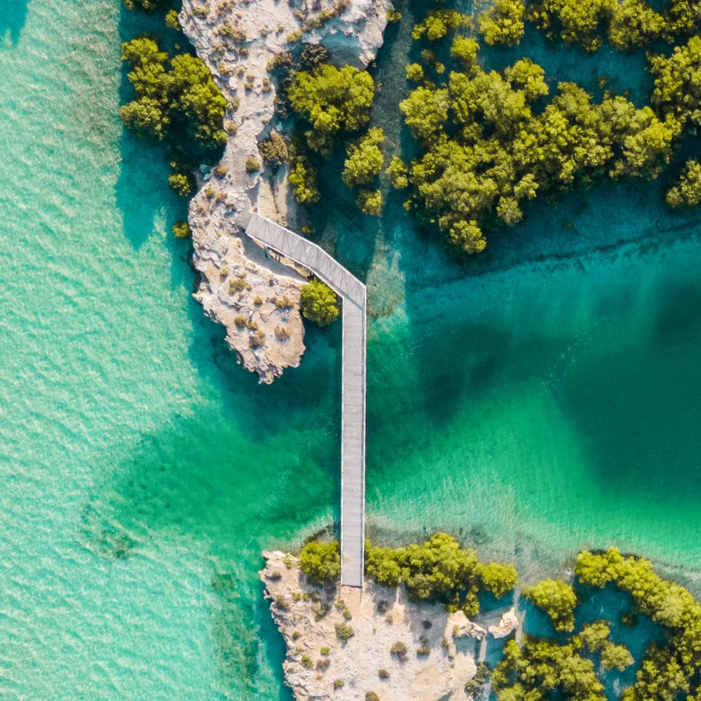 Jubail Mangrove Park — 