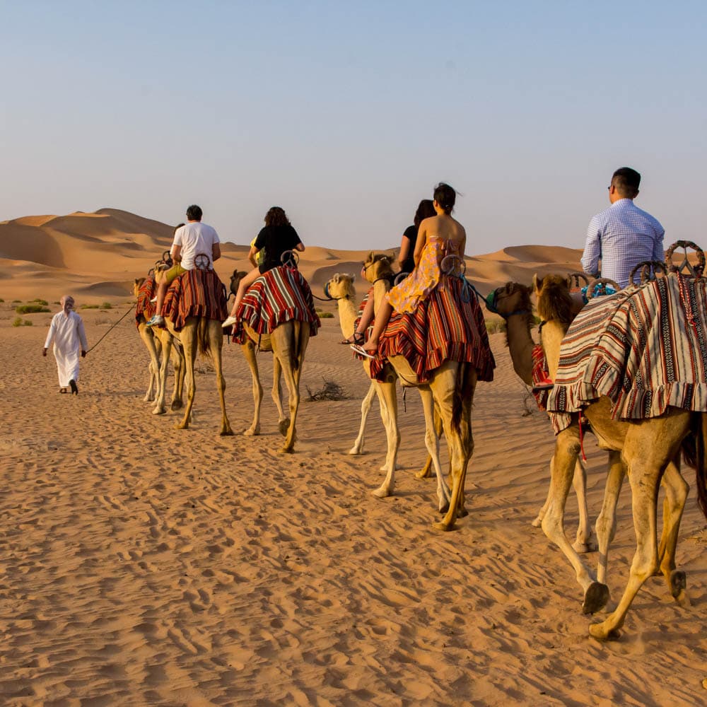 Liwa Oasis — Abu Dhabi, United Arab Emirates, Middle East