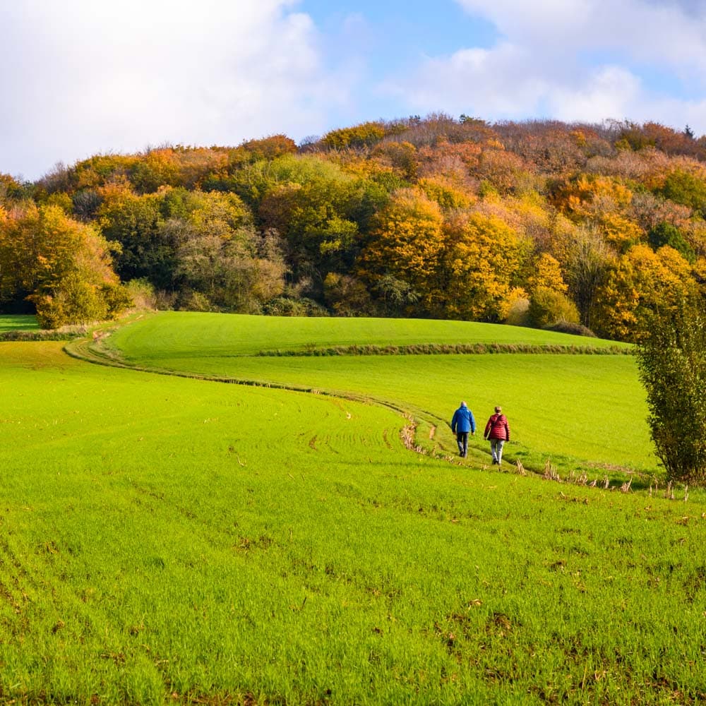 Kemmelberg — 