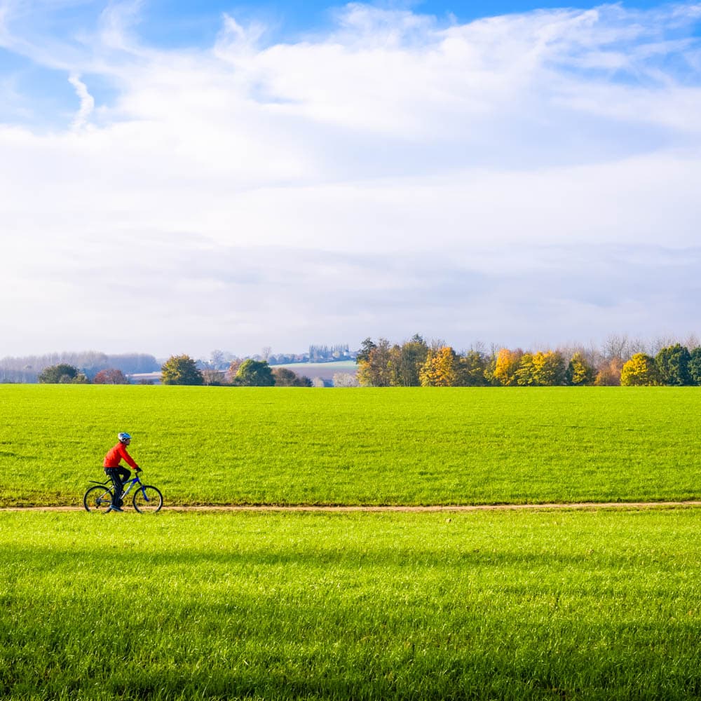 Flanders Fields — 