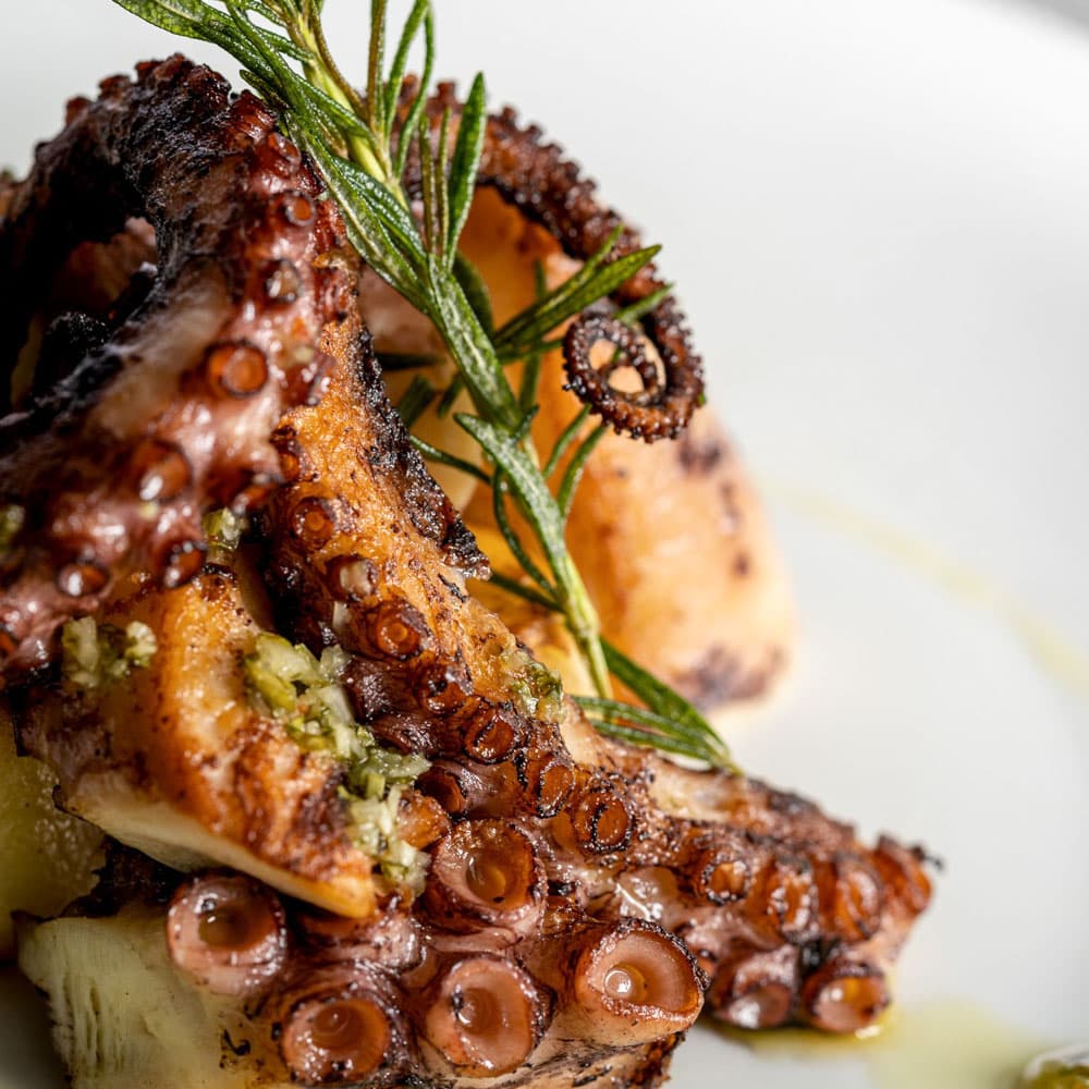 Oliveto — 