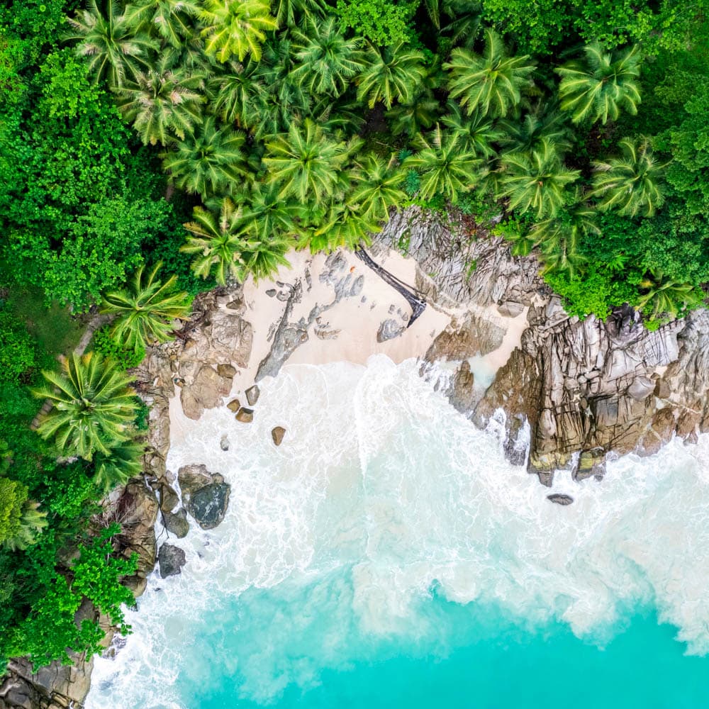 Freedom Beach — 