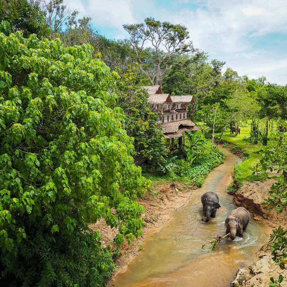 Phuket Elephant Sanctuary — 