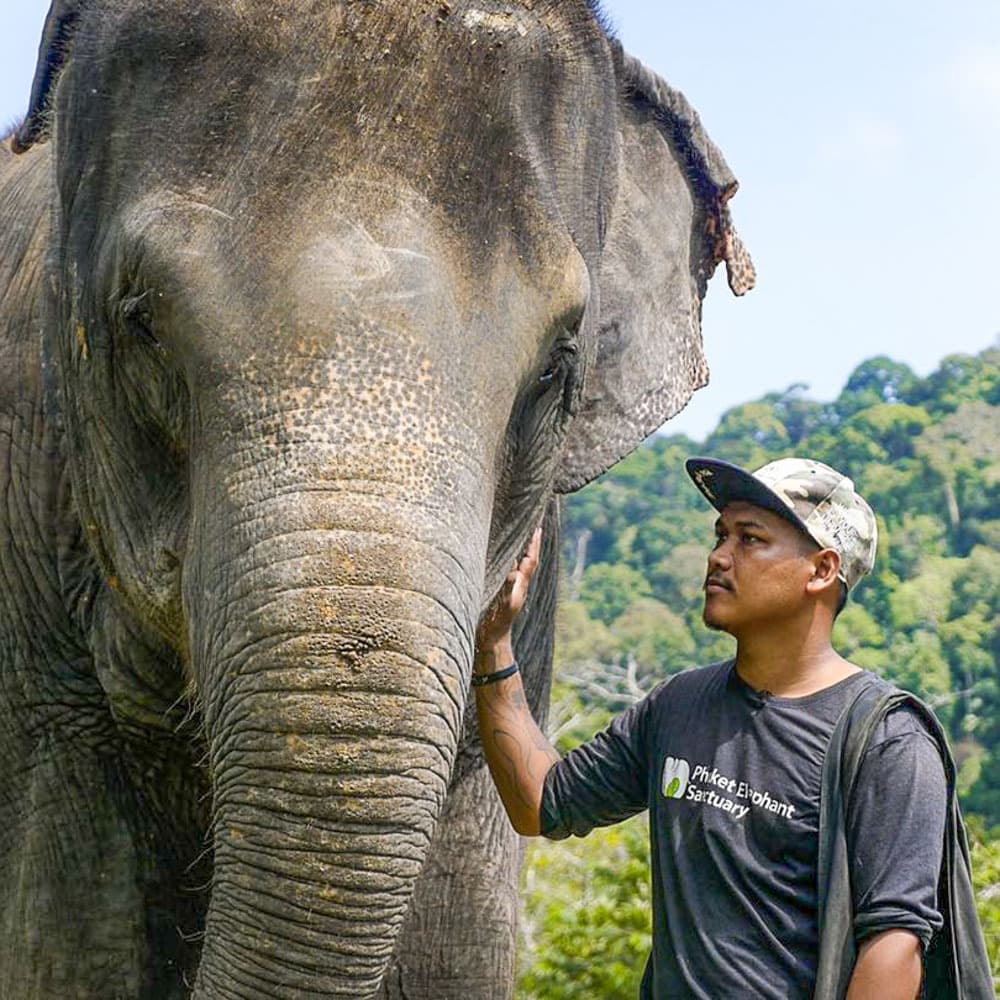 Phuket Elephant Sanctuary — 