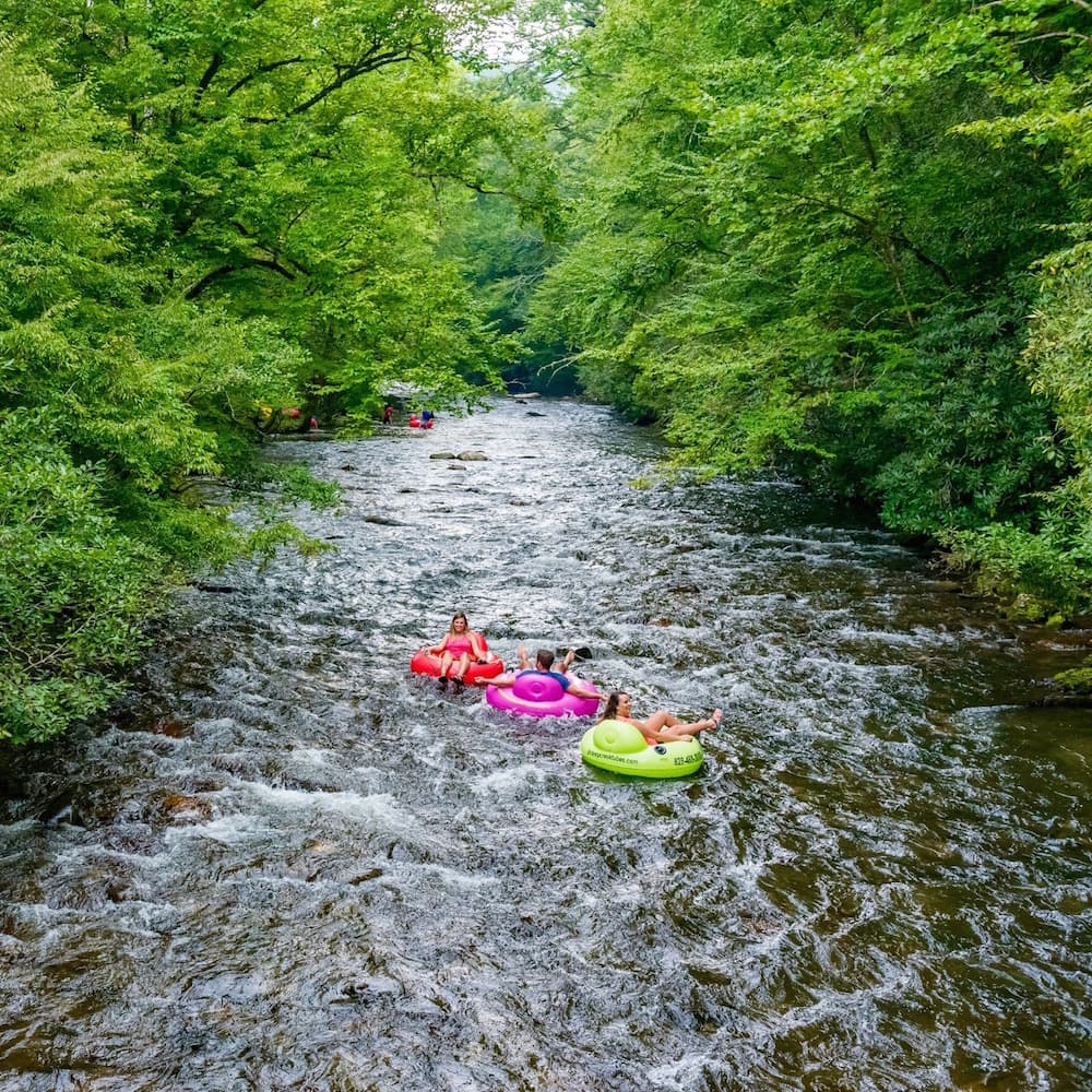Great Smoky Mountains National Park — North Carolina, United States, North America