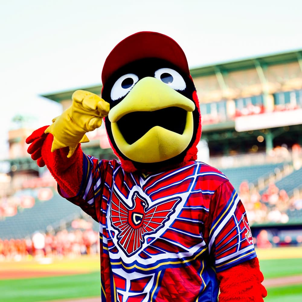 Springfield Cardinals at Hammons Field — 
