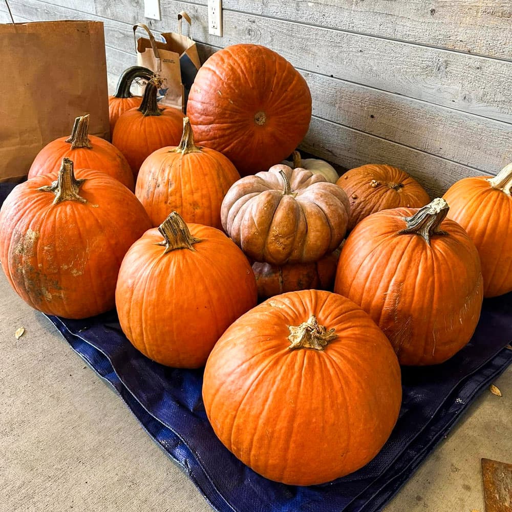 Farmers Market of the Ozarks — Springfield, Missouri, United States, North America