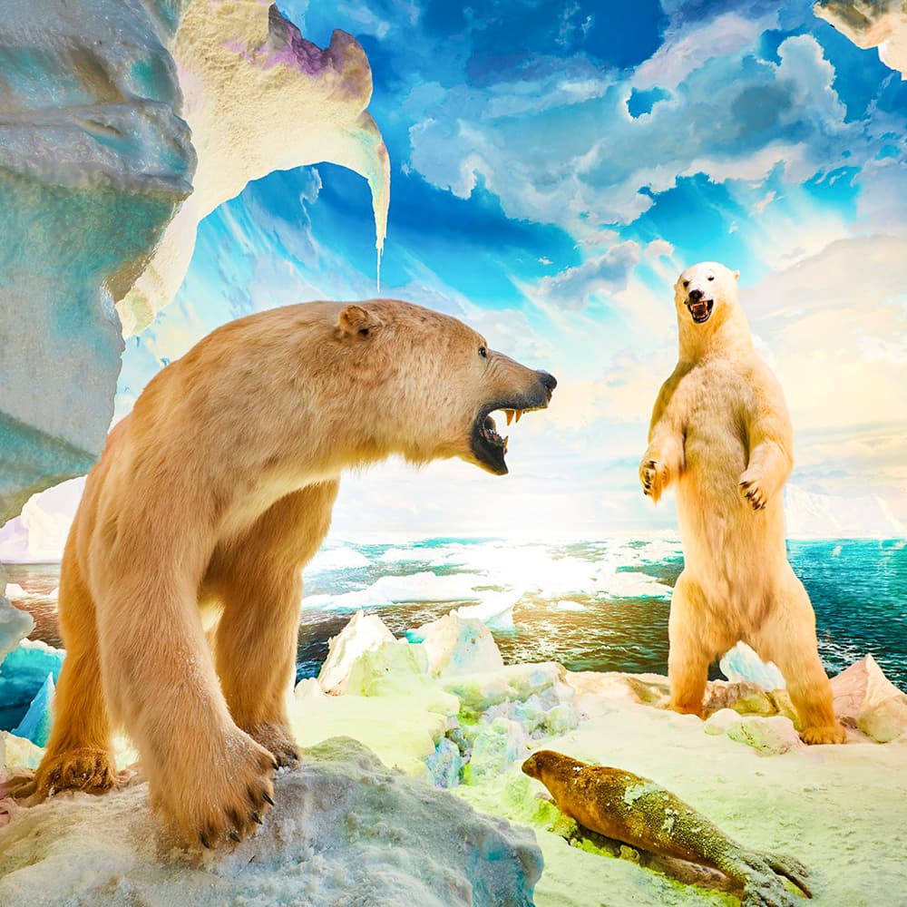 Wonders of Wildlife National Museum and Aquarium — 