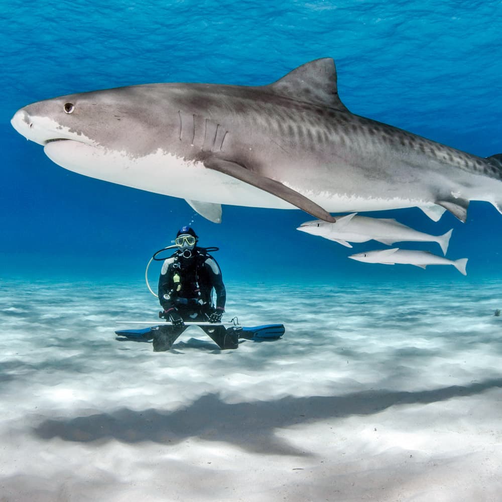 Fuvahmulah Atoll — Maldives, Asia