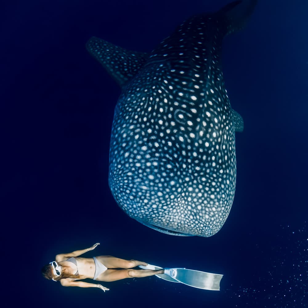 Sun Island — Maldives, Asia