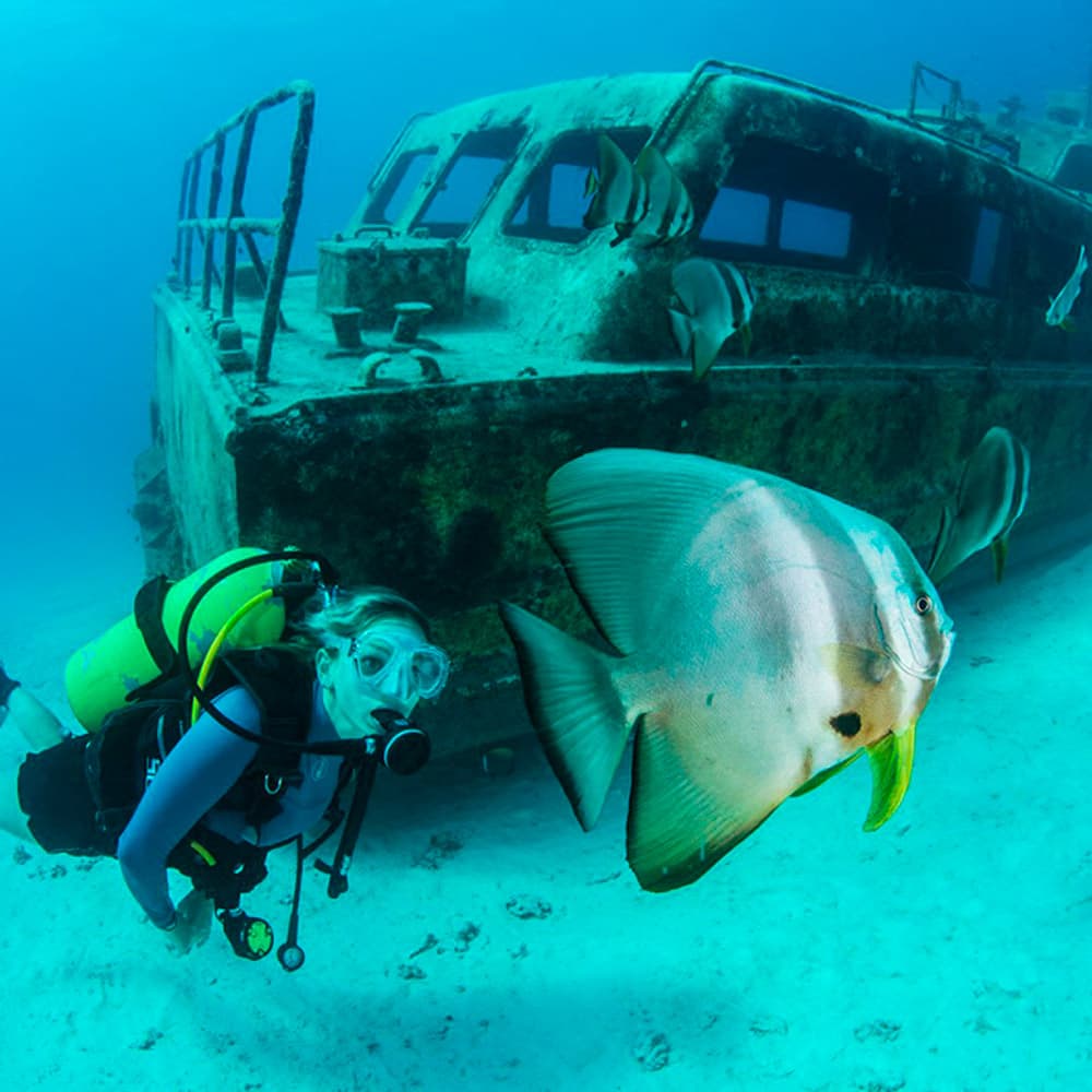 Kuredu Express — Maldives, Asia