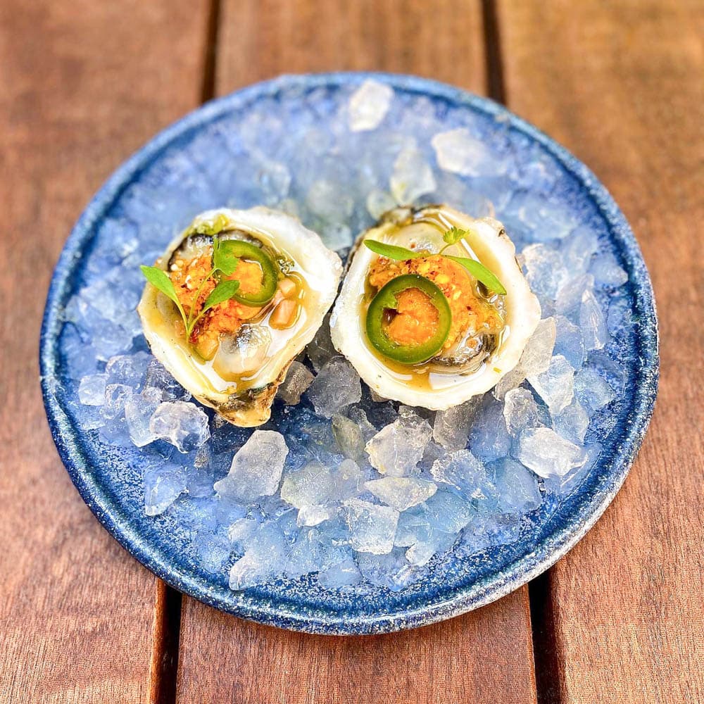 167 Raw Oyster Bar — 