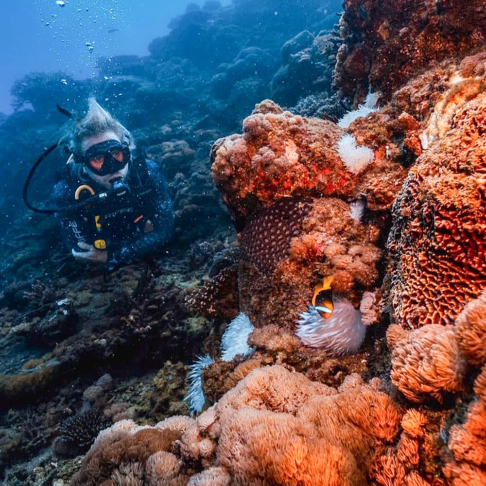 Keppel Dive Cruises & Water Sports — 