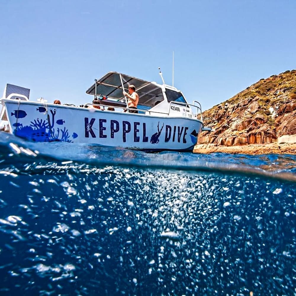 Keppel Dive Cruises & Water Sports — 