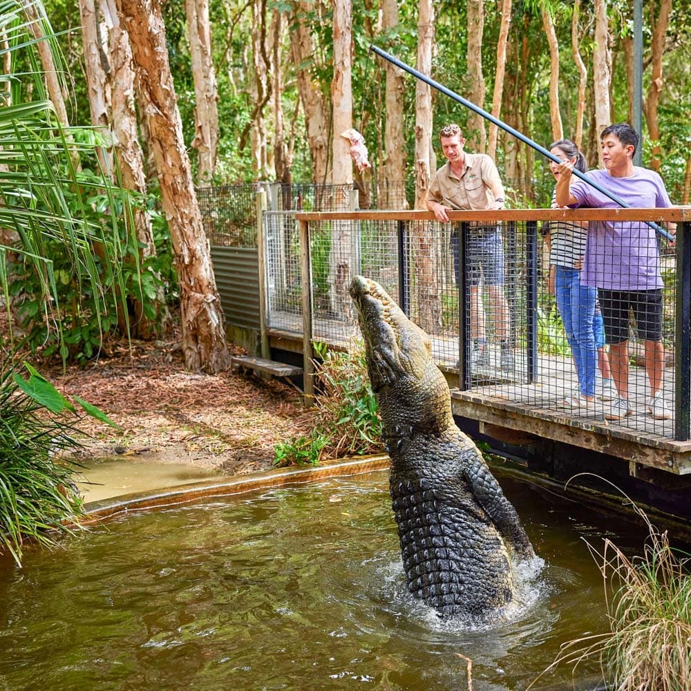 Tropical North Queensland — 