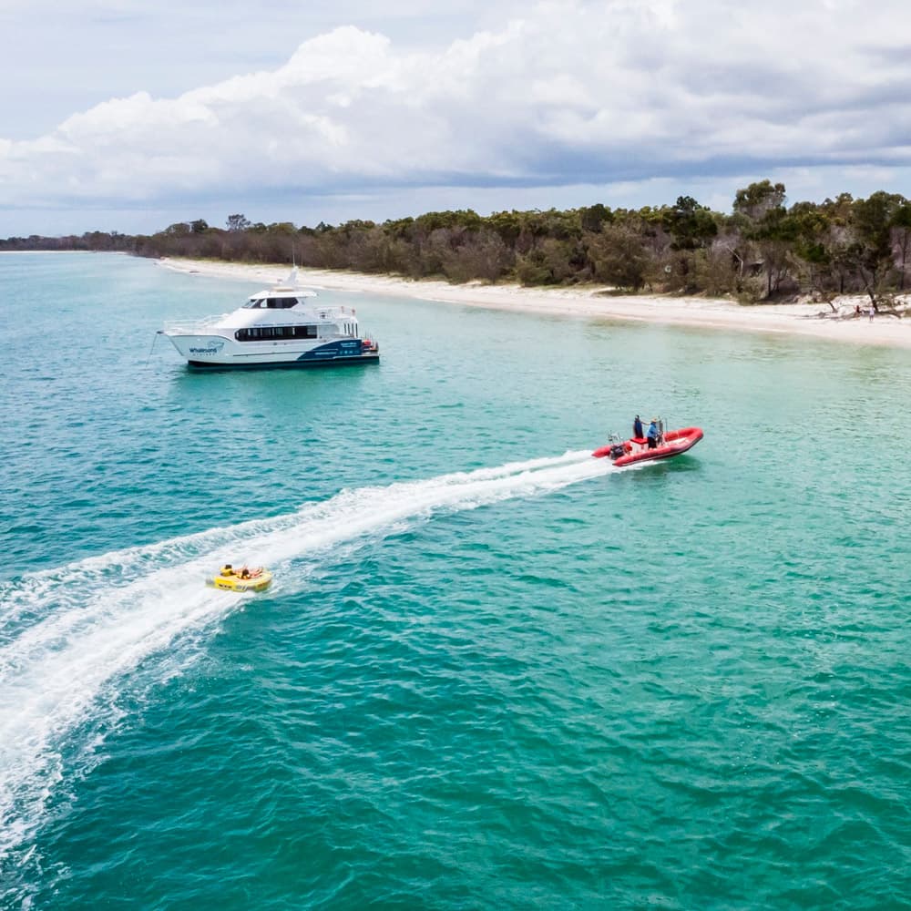 Whalesong Cruises — 