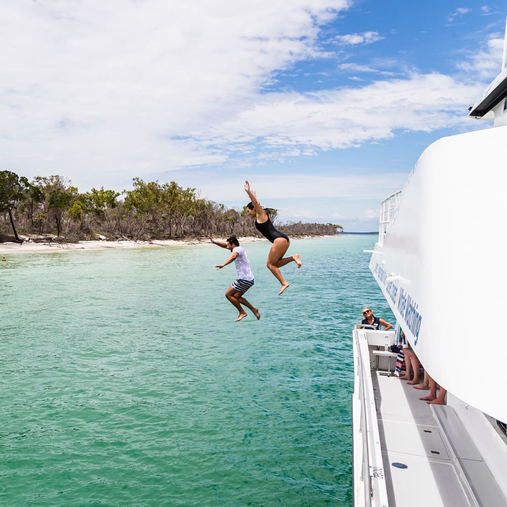 Whalesong Cruises — 