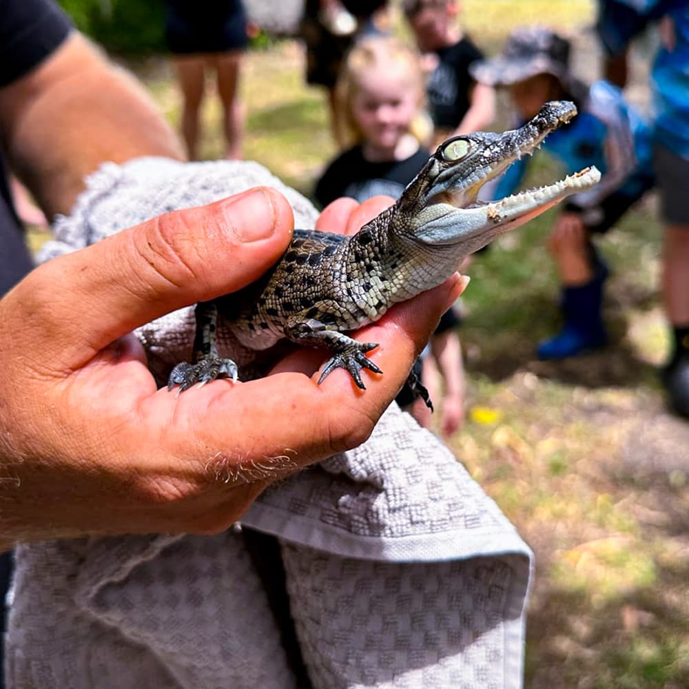 Koorana Crocodile Farm — 