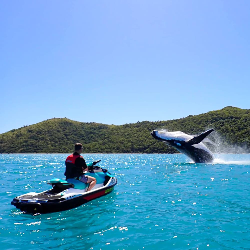 Whitsunday Jetski Tours — 