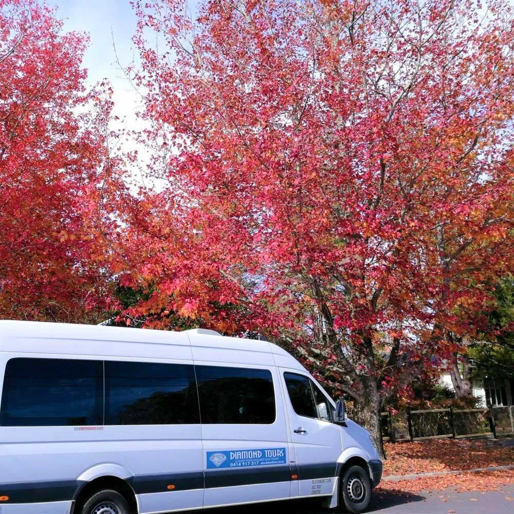 Diamond Tours — 