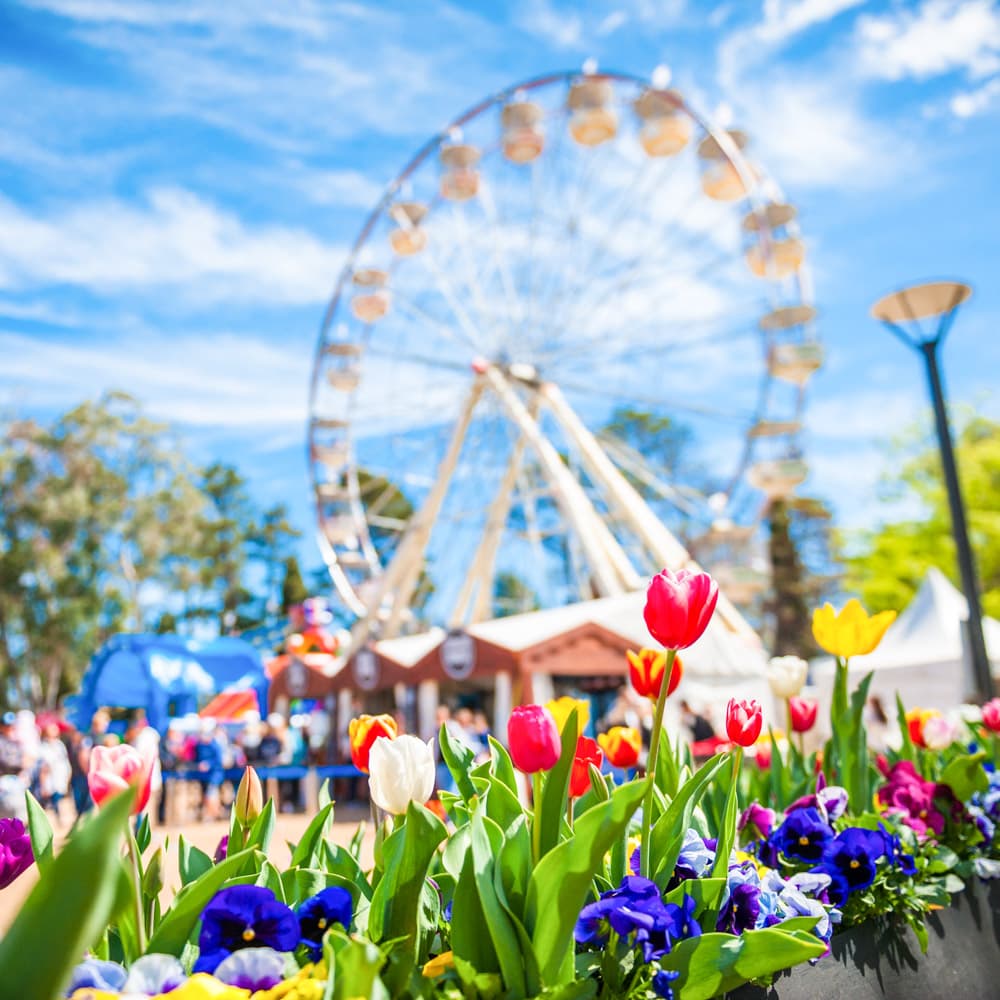 Canberra Guided Tours — 
