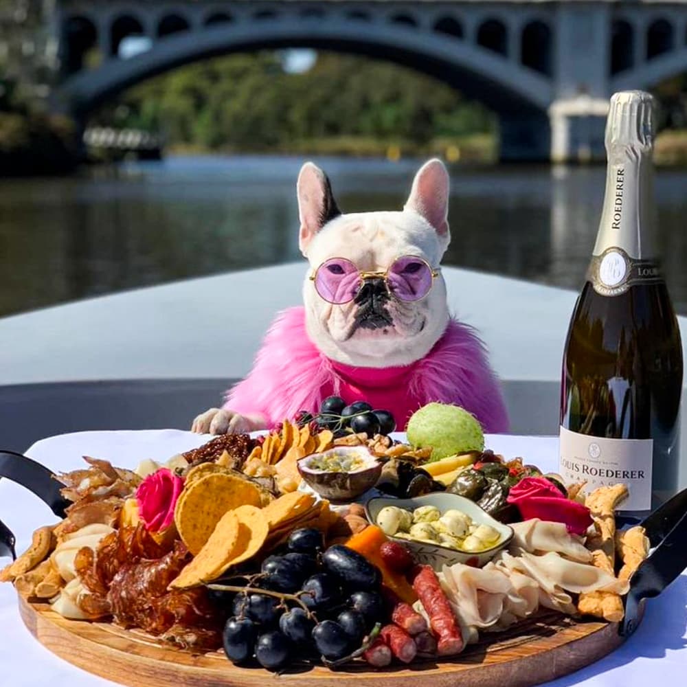 GoBoat Australia — 