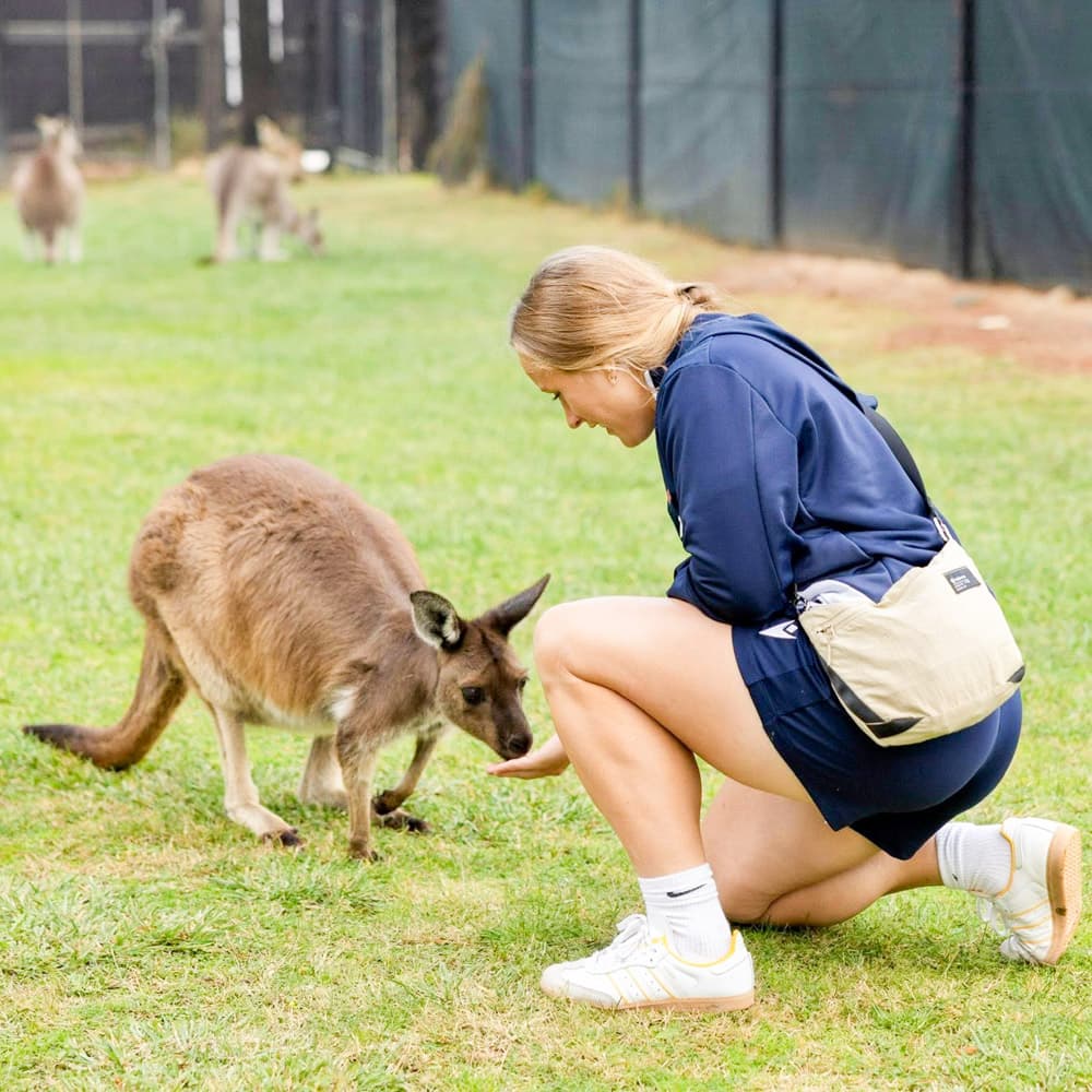 Canberra — 