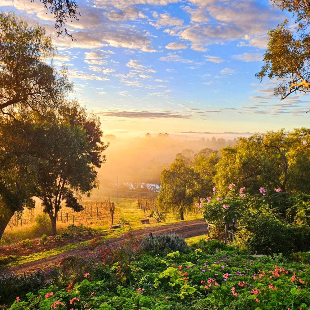 Hunter Valley — 