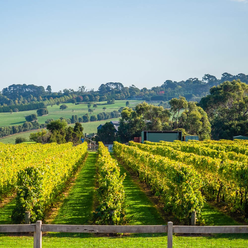 Mornington Peninsula — 
