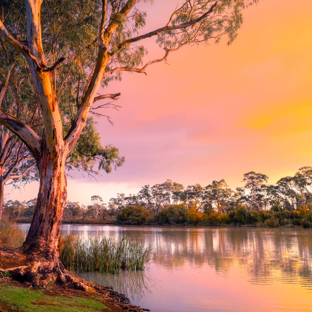 Murray River, Lakes & Coorong — 