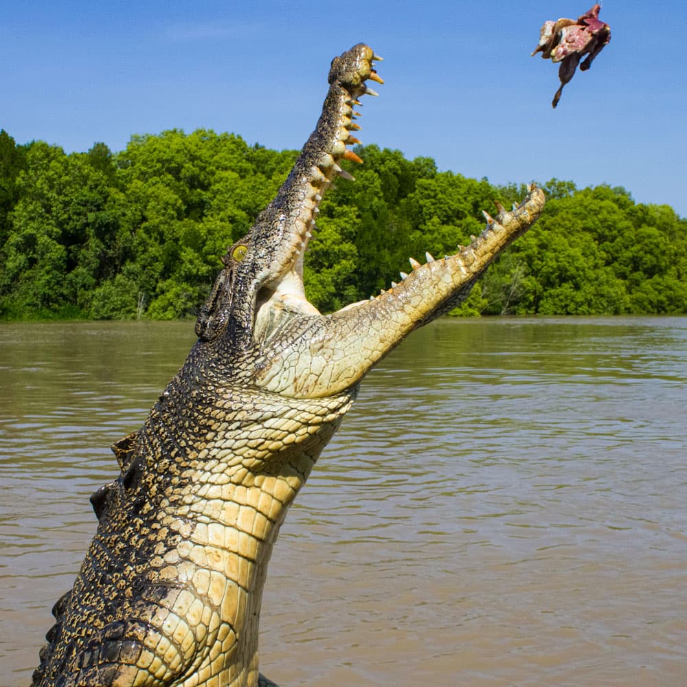 Kapalga Travel — The NT, Australia, Oceania