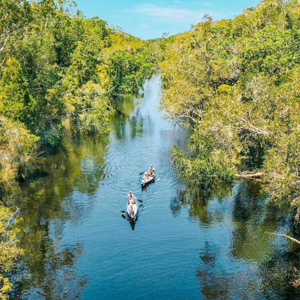 Everglades Eco Safari — 