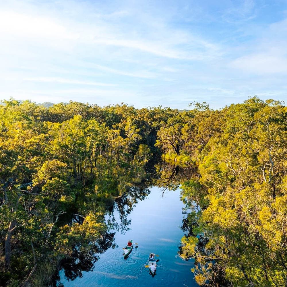 Everglades Eco Safari — Queensland, Australia, Oceania