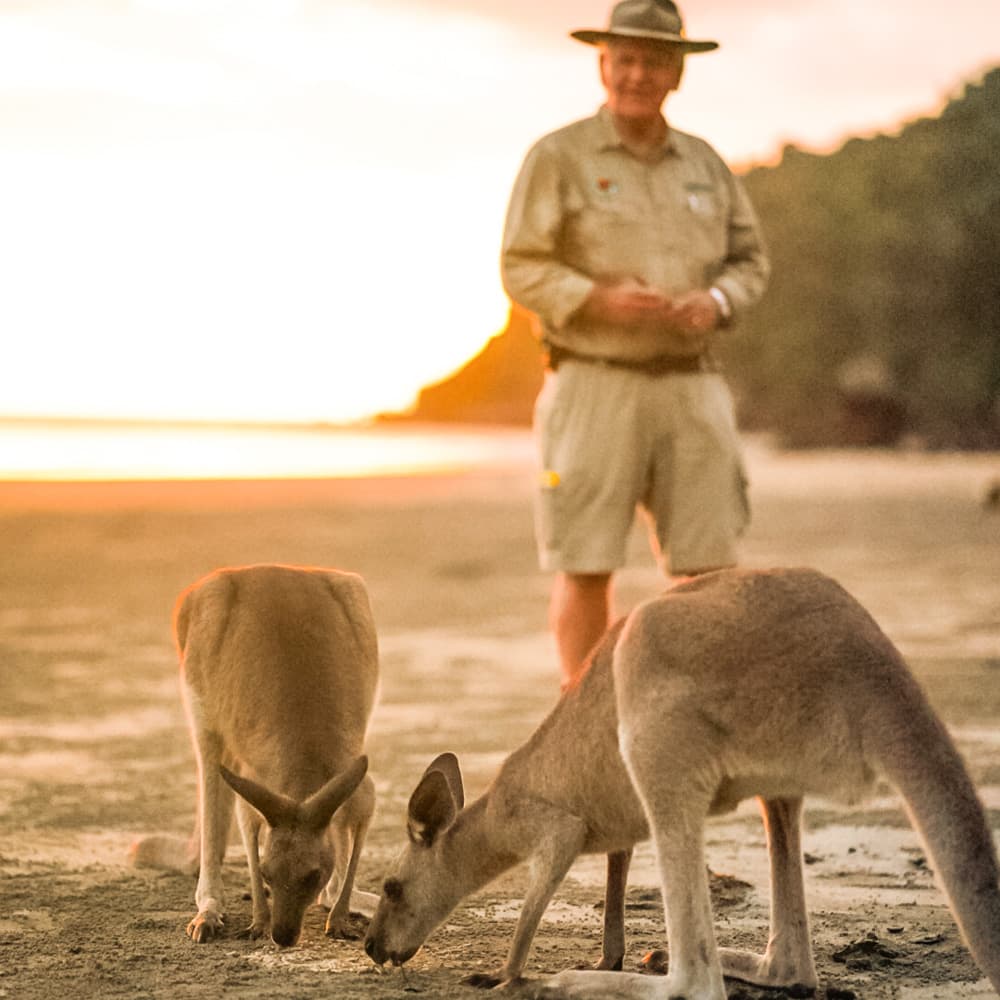 Mackay Adventure — 